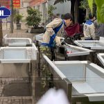 Có nên đặt gia công chậu rửa inox công nghiệp theo yêu cầu?